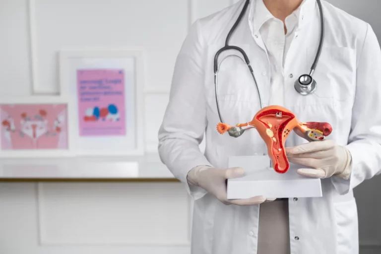 Doctor con una bata blanca sujeta una representación de un útero en una consulta de ginecoestética